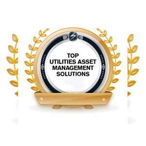Top Utilities Asset Management Solutions